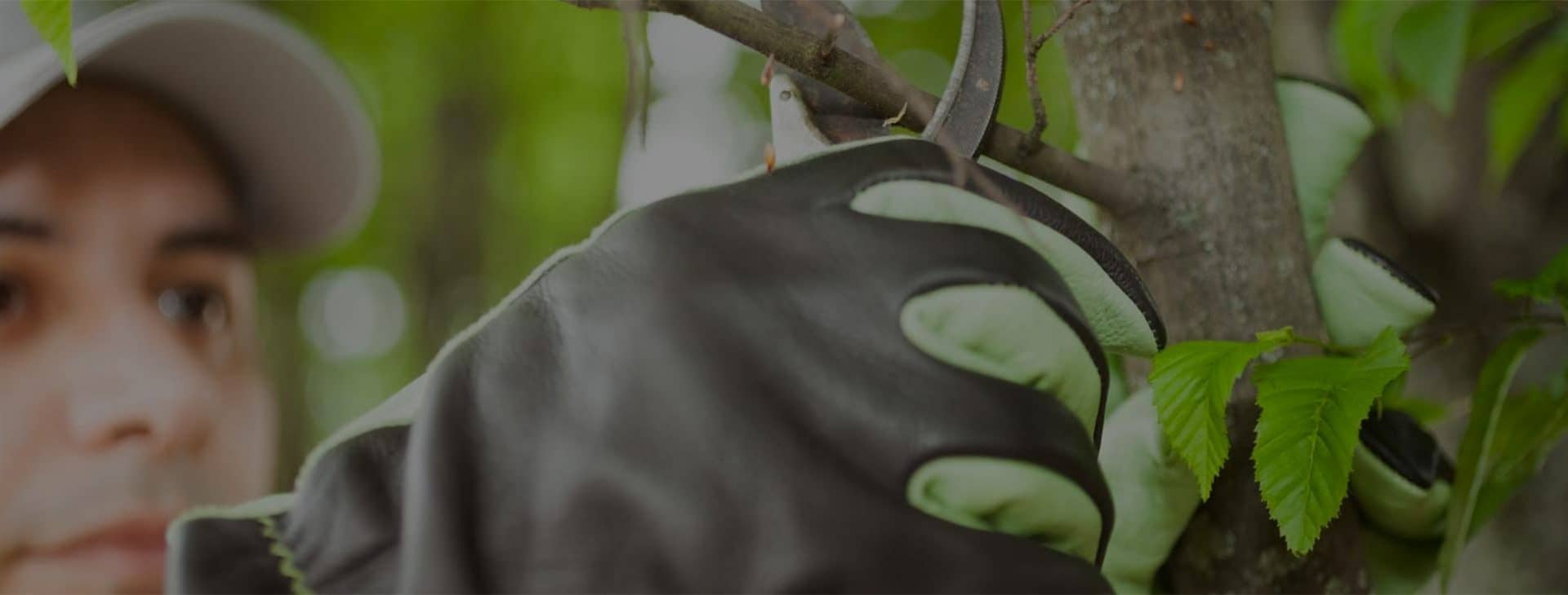 Designed by you 
Inspired by nature 