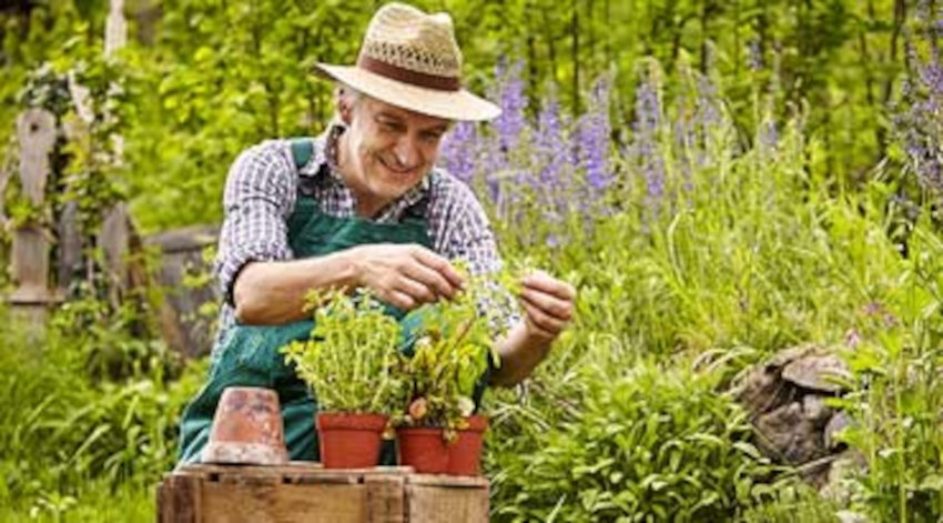 Lawn & Garden Care