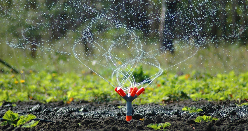 Irrigation & Drainage