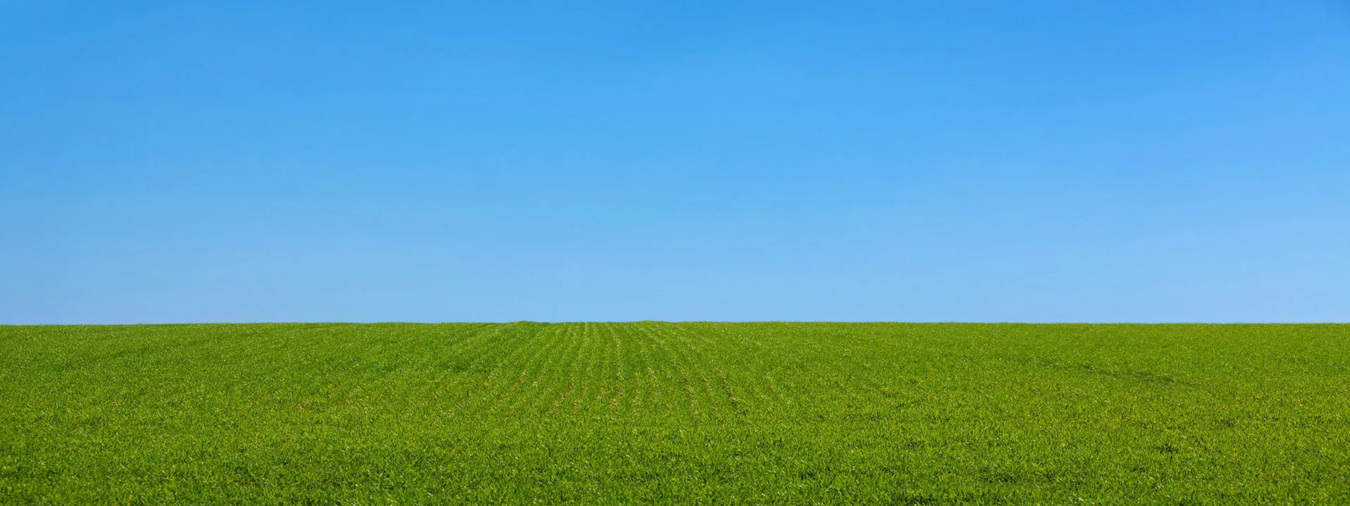 Designed by you 
Inspired by nature 